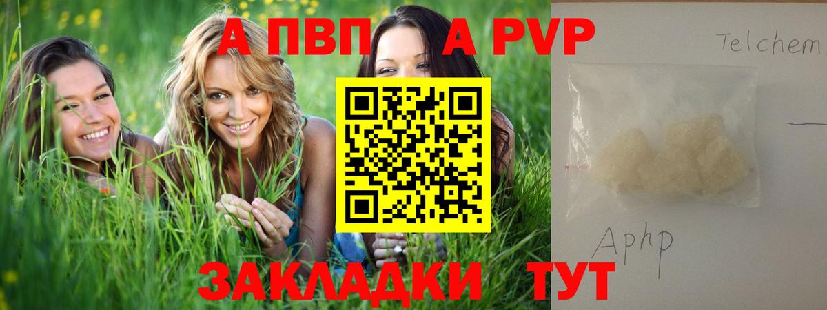 Альфа ПВП СК Великие Луки