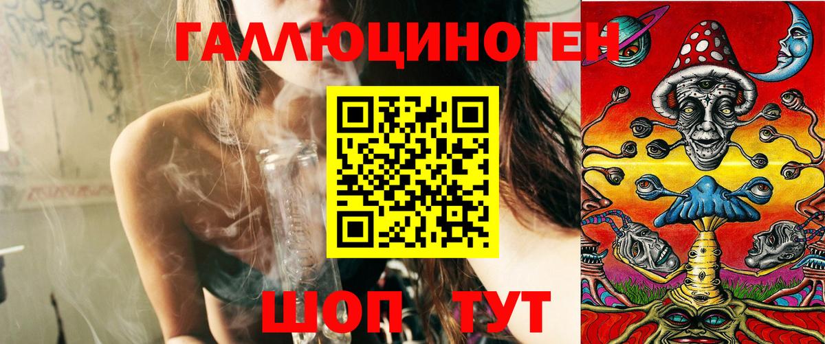 Псилоцибиновые грибы Psilocybine cubensis Великие Луки