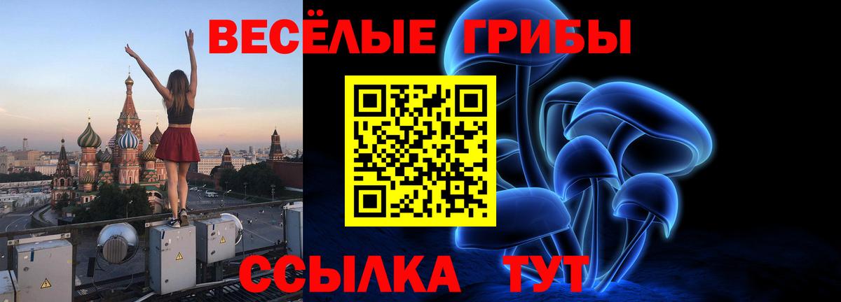 Великие Луки  Псилоцибиновые грибы прущие грибы  Галлюциногенные грибы Psilocybine cubensis  Вход с VPN 